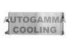 AUTOGAMMA 102062 Radiator, engine cooling
